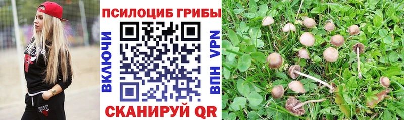 Псилоцибиновые грибы MAGIC MUSHROOMS  Черноголовка 